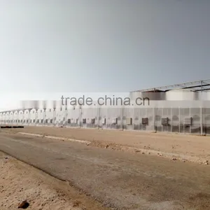 Middle East Greenhouse thumbnail-2