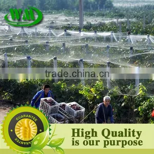 Bird Net thumbnail-1