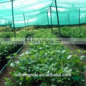 Agricultural Shade Net, Plastic Net, Green Shade Net,green Hourse,China Manufacture HDPE Shade Net, Plastic Net, pe Net thumbnail-1