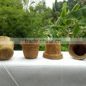 Coco Fiber Pots thumbnail-1