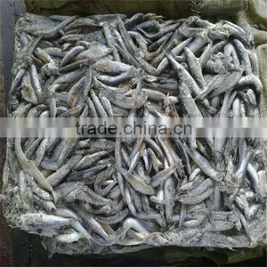 Hot Sales Land Frozen Anchovy for Bait thumbnail-2