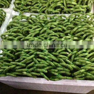 Lucky Bamboo ( Dracaena Sanderiana) Heart Arrangement thumbnail-4