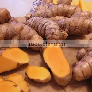 Best Price Fresh Turmeric Root From Vietnam thumbnail-1