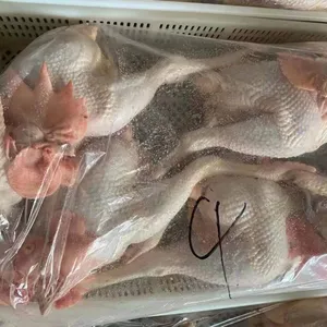 Fresh Frozen Bone Raw Chicken thumbnail-2