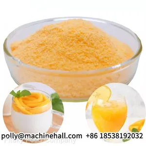 Grade A Mango Powder Manufacturer From China thumbnail-3