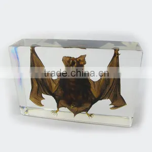 2016 New Design Wholesale Promotional Gift Desk Decoration With Real Insect Bat thumbnail-1