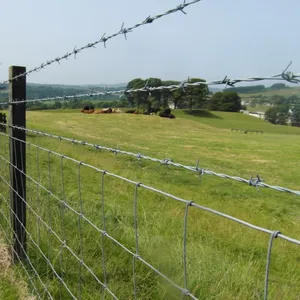 Galvanized Custom 500 m Barbed Wires Coil Barbed Wire Price Lowest Safety Protection Barbwire Barbed Wire thumbnail-3