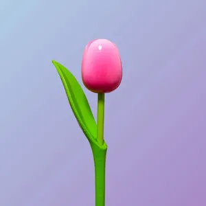Dutch Handmade Wooden Tulips Holland Souvenir Wooden Tulip Bouquet thumbnail-2