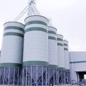 500T Hopper Bottom Grain Silo for Corn Wheat Rice Soybean Paddy Grain Storage System thumbnail-1