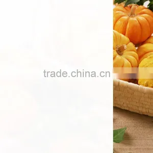 Car Window 5 Years Gurantee Solar Window Film thumbnail-2