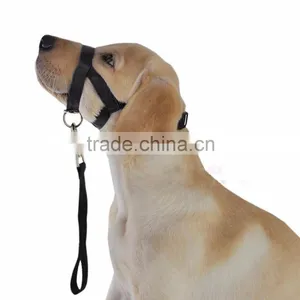 New Paracord Dog Collar And Leash Bulk thumbnail-3