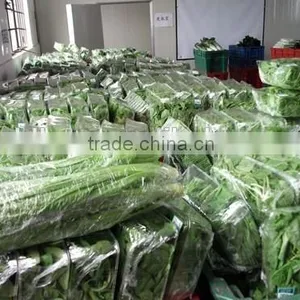High Performance Horizontal Pillow Packaging Machinery for Vegetables CB-600 thumbnail-1
