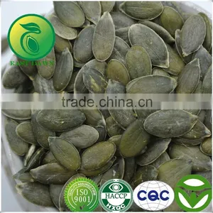 Wholesale Hot Selling Pumpkin Seeds Kernels GWS Oil thumbnail-1