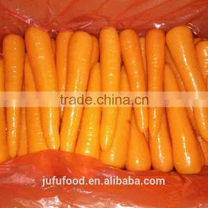 2016 Chinese Fresh Carrot thumbnail-1
