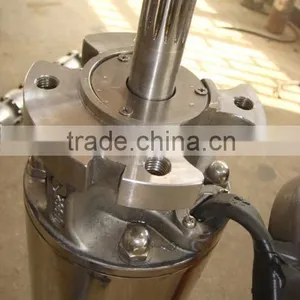 6" Encapsulated Water-filled Submersible Motor thumbnail-2