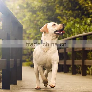 Waterproof India Mini GPS Pet Tracker With Geofencing Tracking Gps Dog thumbnail-1
