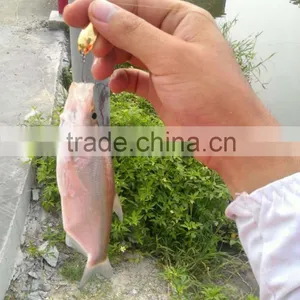 2.8cm/2.5g Fishing Spoon Lure Sequin Paillette Metal Hard Bait Hook Tackle Gold thumbnail-3