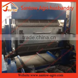 Egg Tray Machine Production Line thumbnail-5