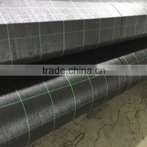 Black/Green pp Plastic Ground Cover thumbnail-3