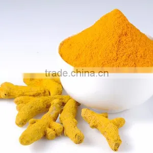 Bulp Turmeric Fingure in Indi thumbnail-2