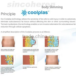 Body Slimming Body Shape Beauty Equipment thumbnail-6