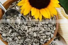 SUNFLOWER SEEDS thumbnail-3