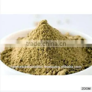 Best Quality Coriandrum Sativum Powder thumbnail-3