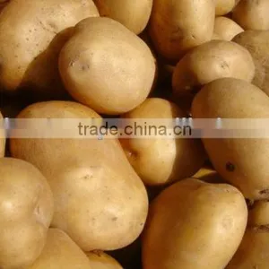 Best Potato From Pakistan thumbnail-1