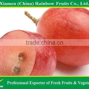 Globe Price Of Chinese Fresh Red Globe Grape thumbnail-6