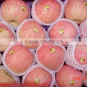 Fuji Apple thumbnail-1