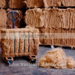 INDONESIA COCONUT PULP, COCONUT FIBER, COCONUT WATER AND CHARCOAL thumbnail-2