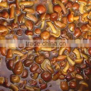 Salted Nameko Mushroom in Brine thumbnail-1