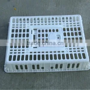 Plastic-Reinforced Live Chicken Transport Cage thumbnail-4