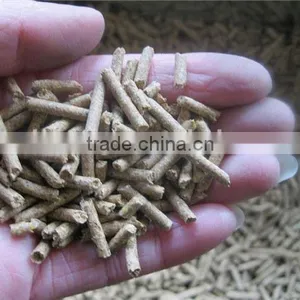 Plastic Pellet Machine Extruder thumbnail-2