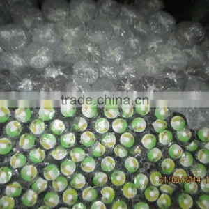 New 30 in x 100 ft Fiberglass Window Door Screen Roll/fiberglass Screen Cloth/fiberglass Wire Screen thumbnail-6