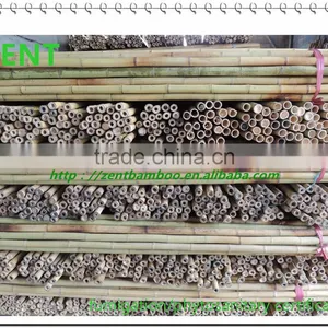 ZENT -131 Agricultural Bamboo Poles/small Bamboo Ctick thumbnail-1