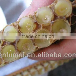 Raw Royal Jelly Best Price thumbnail-1