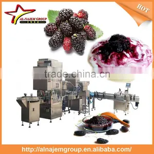 Mulberry Paste Making Production Line High Viscosity Liquid Filling Machine thumbnail-1