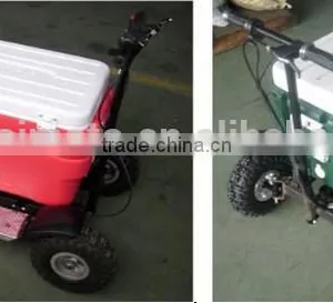 Hot Sale Gas Cooler Scooter for BBQ/43cc EPA Ice Chest Scooter (TKS-S43) thumbnail-6