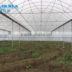 Factory Price BLD001 Plasctic Film Cover Greenhouse for Agricultural and Commercial Use thumbnail-4