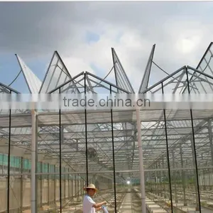 Glass Horticultural Greenhouse for Vegetables Growing thumbnail-1