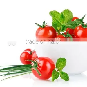 Tomato Greenhouse thumbnail-2