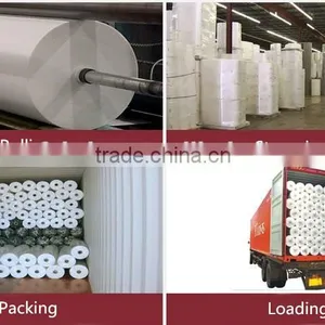 China Nonwoven Garden Fabric, Weed Mat,tree Cover thumbnail-1