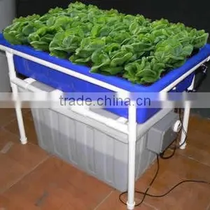Indoor Aquoponics Hydroponics Fishing Tank With Vegetable Planter thumbnail-1