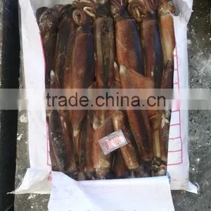 Clear Tubes Illex Squid thumbnail-1