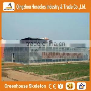 Factory Price Trade Assurance Greenhouse Equipment- Plastic Sheet Agricultural Greenhouse From China Supplier thumbnail-4