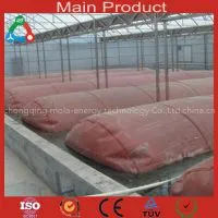 Big Size Biogas System thumbnail-1