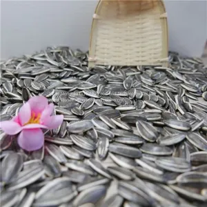 Sunflower Seeds From Inner Mongolia thumbnail-1