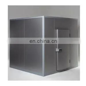 PU Sandwich Panel for Walk in Freezer to Store Frozen Fish thumbnail-4