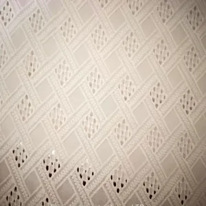 Broderie Anglaise Cotton Eyelet Schiffli Lace Embroidery Fabrics thumbnail-2